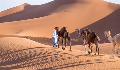 Most often asked how to get a hanging bell. A Sahara Desert Adventure | Luxury Holidays in Morocco ...