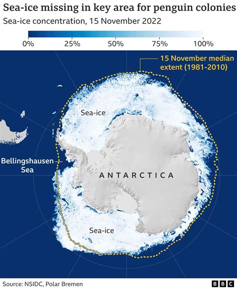 Climate Change Thousands Of Penguins Die In Antarctic Ice Breakup