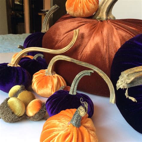 Velvet Pumpkins | Velvet pumpkins, Gold pumpkins, Velvet acorn