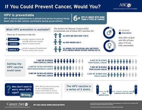 Preventing Hpv Related Cancers Asco Connection