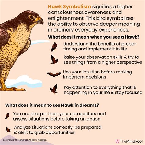 Hawk Symbolism The Spiritual Meanings Of Seeing A Hawk Artofit