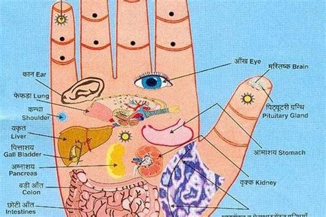 Acupressure Uses Certain Points On The Body To Induce Healing These