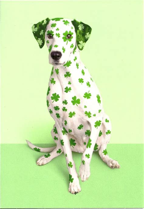 He was kidnapped at the age of 16 and taken to ireland as a slave. Everybody's Irish on St. Patrick's Day! Hallmark cards ...