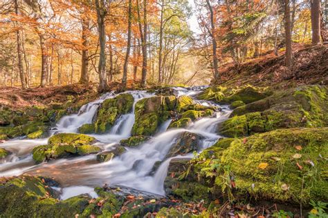 Waterfall In Autumn Forest