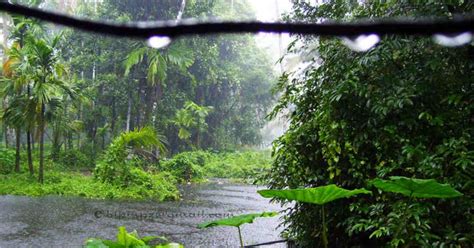 Light Monsoon Rains To Continue Over Kerala To Increase By June 19