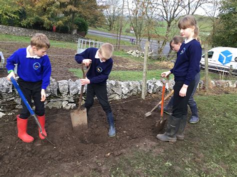 Creating A School Garden