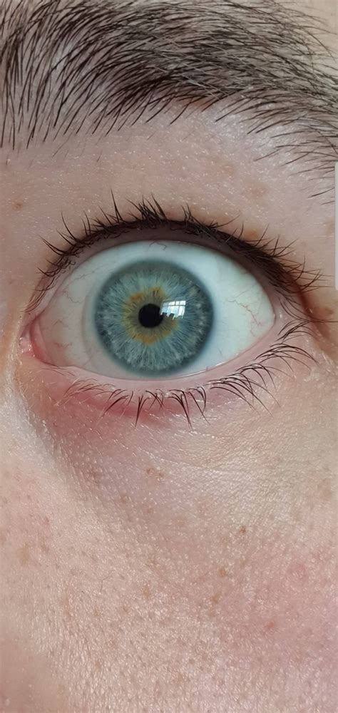 Are My Eyes Blue Or Grey Eyes