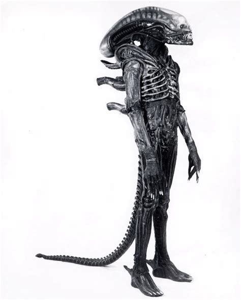 Rare Behind-the-Scenes Photos from the Set of Alien (1979 ...