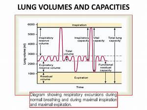 Ppt Lung Volumes Lung Capacities Powerpoint Presentation Free