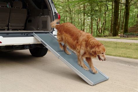 3 Expert Tips To Choose Dog Ramps And Stairs Visualhunt