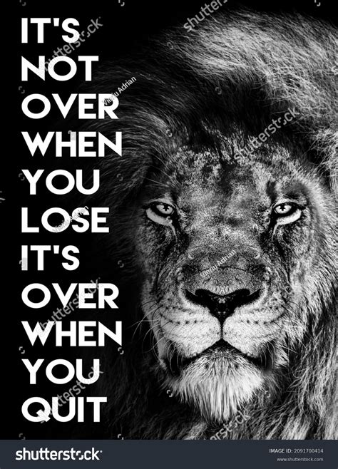 Full 4k Collection Of Amazing Lion Quote Images Over 999 Inspiring
