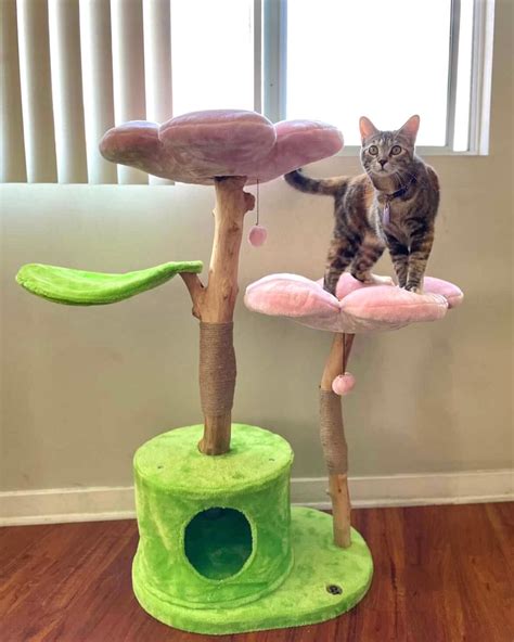 Modern Cat Tree Cat Stands Cat Trees Floral Cat Wood Cat Cat
