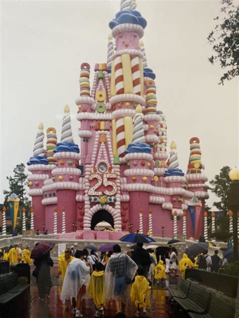 A Look Back At Walt Disney Worlds 25th Anniversary