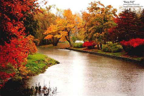 Rainy Fall Wallpaper - WallpaperSafari Download all wallpapers for free.