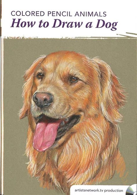 Before we look at penguin drawing step by step for kids, let's look at some interesting facts about these chubby birds: Learn how to draw and paint a dog using color pencils in ...
