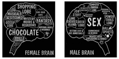 Sex In The Brain Genes Hormones And Evolution Brains Explained