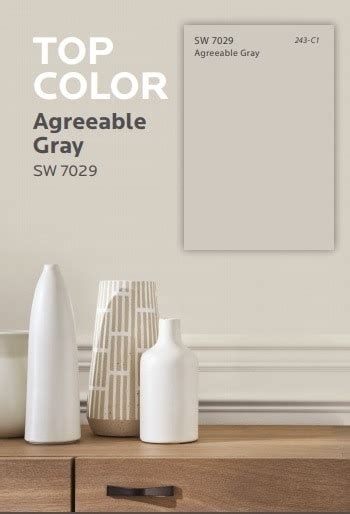 Top paint companies in europe. Agreeable Gray SW 7029 - Is it Truly the Best Gray? West ...