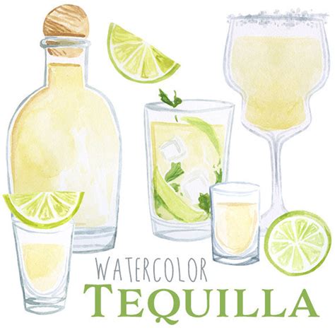 Watercolor Tequila Clip Art Mexican Alchohol Shots Clipart Etsy