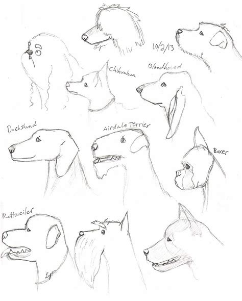 Maybe you would like to learn more about one of these? Lynn Murphy: October 2013