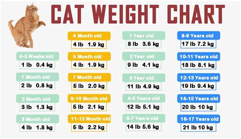 Normal Cat Weight Chart Images And Photos Finder