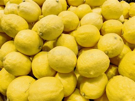 Yellow Citrus Fruit Lemon Many Yellow Sour Lemons Lie On The Shelfin