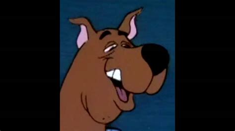 Scooby Doo Meme Face