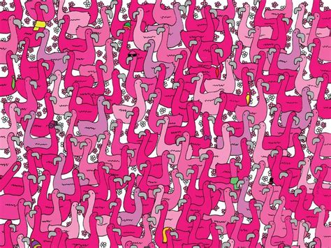 Click below link for answer: Can you find the tiny heart hidden among flamingos in this ...