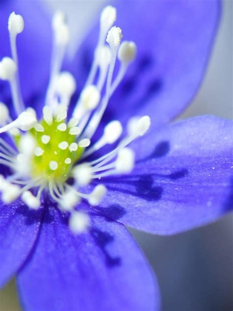 Grasp the inspirational ipad backgrounds. Beautiful iPad Wallpaper - TutorialChip