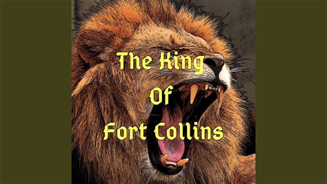 Mattress firm fort collins — bed & mattress store fort collins co. The King Of Fort Collins - YouTube