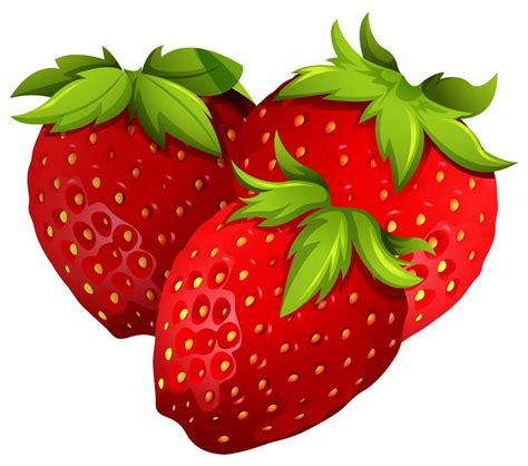 Fresh Strawberries On White Background 301772 Vector Art At Vecteezy