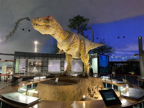 福井県立恐竜博物館の見どころ紹介！子どもはもちろん大人も楽しめる圧巻の綺麗な展示！ たーたんファミリー