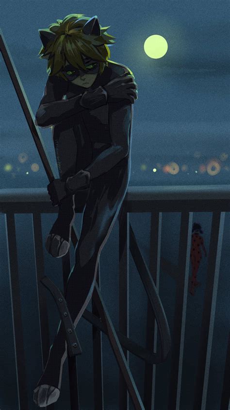 42 Fanart Cat Noir Anime Rosamond Dianna