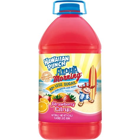 Hawaiian Punch Lemon Berry Squeeze Juice, 6 bottles / 10 fl oz - Kroger