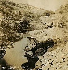 In california, the migrants sifted for gold in the mountains and later hired themselves out to work on building the new transcontinental railroad. California Gold Rush - Wikipedia