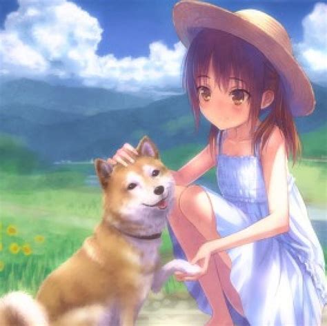 Doggie Pretty Scenic Bonito Adorable Animal Sweet Mountain Nice