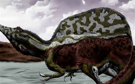 Voir l'offre ma boutique o naturel 2020 qui vous intéresse parmi les codes promo ma boutique o naturel, à l'aide d'un coupon ma boutique o. Le Spinosaurus : un dinosaure pêcheur ? | Dossier
