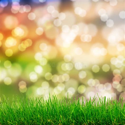 Spring Landscape With Grass And Bokeh Lights Stock Image Image Of