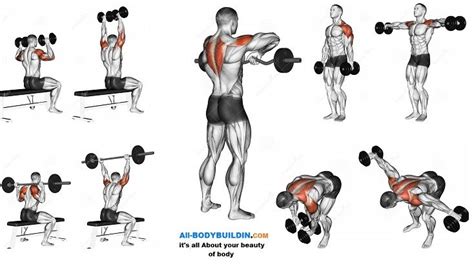 Pin By Nawid On Shoulder Workout Shoulder Workout Best Shoulder