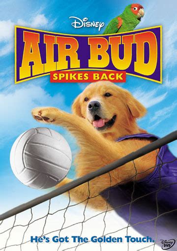 Where to watch air bud air bud movie free online Disney La Saga "Air Bud" (2 films + 12 suites vidéos de ...