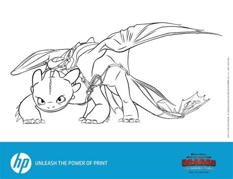 How To Train Your Dragon The Hidden World Prints From Hp How To