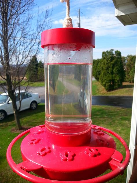 The homemade nectar is cooled and can then be used in hummingbird feeders, with the extra nectar stored in the fridge for later. How to Make Your OWN HUMMINGBIRD FOOD - RECIPE - Grab Food ...
