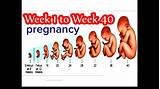 The mother daughter duo are pictured in matching animal print and sportswear. Pregnancy Week By Week 1 Week To 40 Weeks Baby Growth In