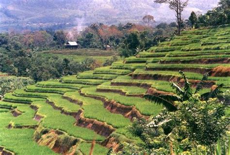Zona ekonomi eksklusif antara indonesia dan singapura tidak mencapai 12 mil. Kegiatan Ekonomi Agraris Penduduk Indonesia