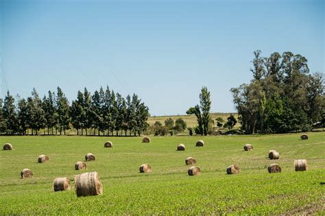 Hay Farm Nature Free Photo On Pixabay