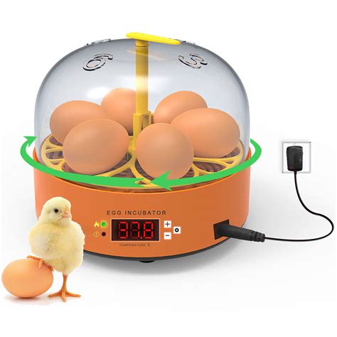 Buy Egg Incubator 6 Eggs Hatcher Poultry Hatching Machine With Automatic Egg Turning And