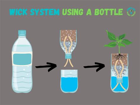 Hydroponic Wick System The Best System For Beginners