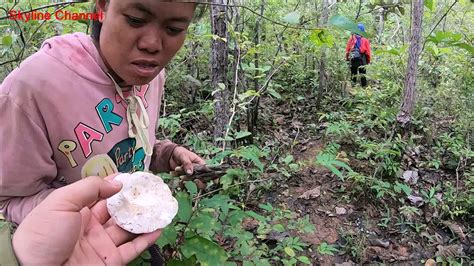 ลาวยังไม่ปล่อย 7 คนไทย เข้าป่าเก็บเห็ดข้ามแดน รอส่งตัวกลับหลังกักตัวครบ 14 วัน ตามมาตรการโควิด (2 ส.ค.64) เมื่อเวลา 12.00 น. ลุยฝนในลาวใต้ EP43:เข้าป่าโคกเมืองลาว เก็บเห็ด เก็บหน่อโจด ...