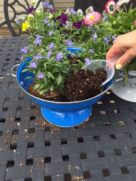 Shop 1800flowers for a selection of plants that make excellent plant gifts or will beautifully furnish your home or office! planting flowers in colander | Hanging plants, Diy ...