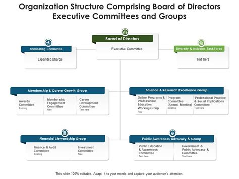 Organization Structure Comprising Board Of Directors Executive