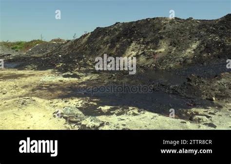 The Former Dump Toxic Waste Effects Nature From Contaminated Soil And